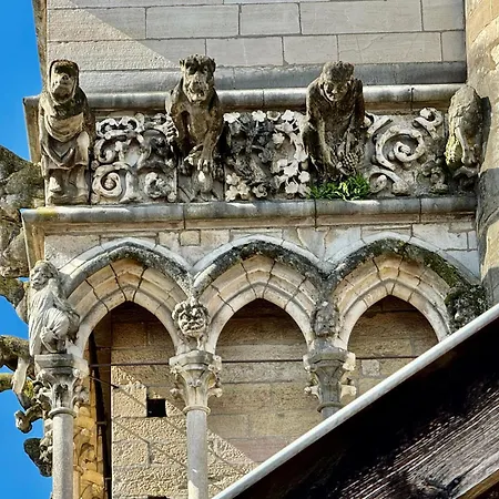 Le Relais Des Ducs : Centre Historique * דיז'ון