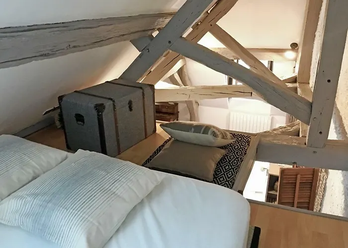 Appartement Le Relais Des Ducs : Centre Historique *